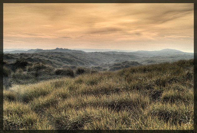 Winter Sun, Ainsdale