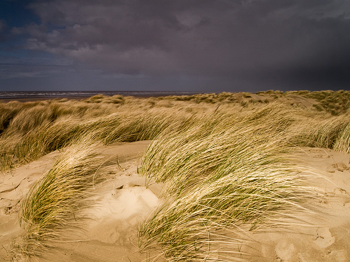 Wind Blown Dunes, Ainsdale