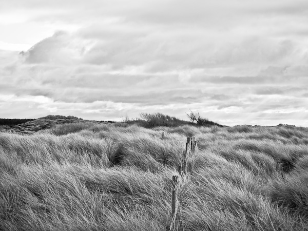 Ainsdale Dunes in Monochrome