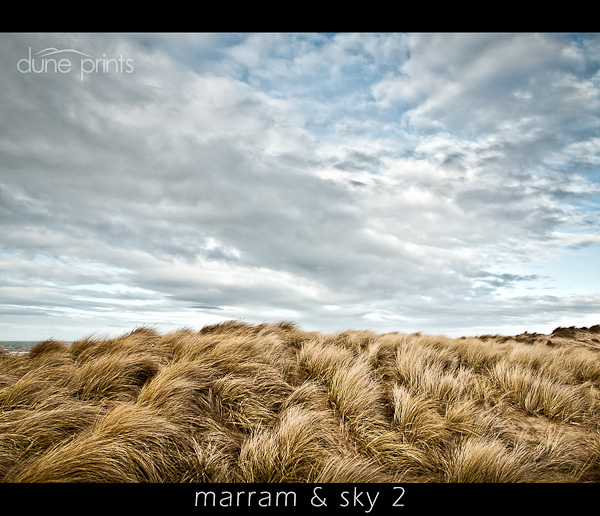 marram and sky #2