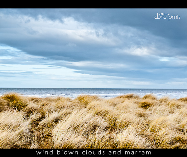 wind blown clouds and marram