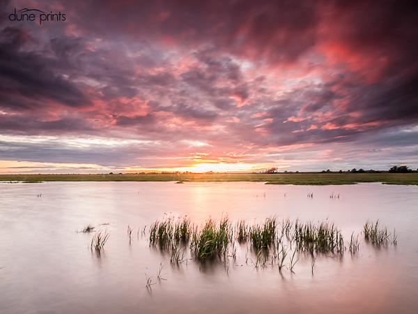 Soft Light on the Water