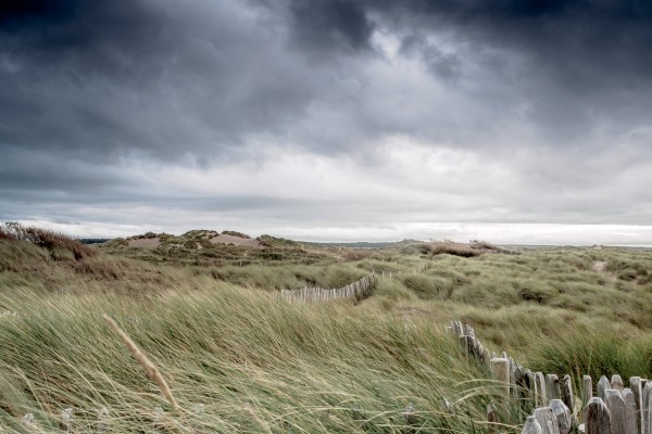 Fence in the Marram