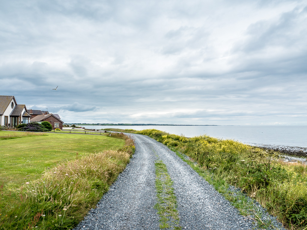 Burr Point Track.jpg